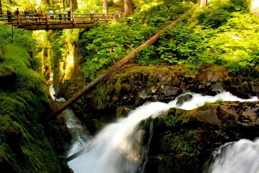 Small Group: Olympic National Park Day Tour From Seattle - What makes this Olympic day trip click