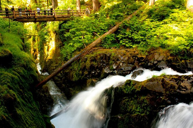 Small Group Olympic National Park Day Tour from Seattle 2CanGo - Price and Value for a $148 Seattle-to-Park Day