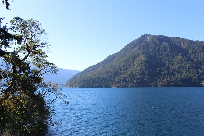 Small Group Olympic National Park Day Tour from Seattle 2CanGo - How the Tour Runs on Rough Days (and Why Flexibility Helps)