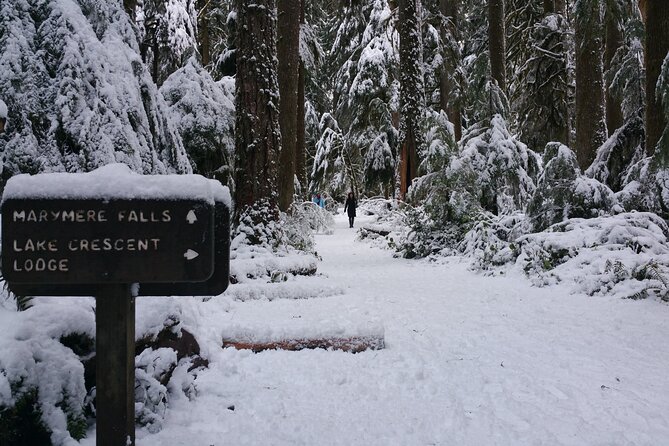 Small Group Olympic National Park Day Tour from Seattle 2CanGo - Morning Pickup and the Van Time You Should Plan For