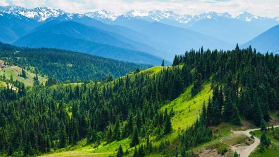 Small Group: Olympic National Park Day Tour From Seattle - Getting into Olympic National Park fast, not later