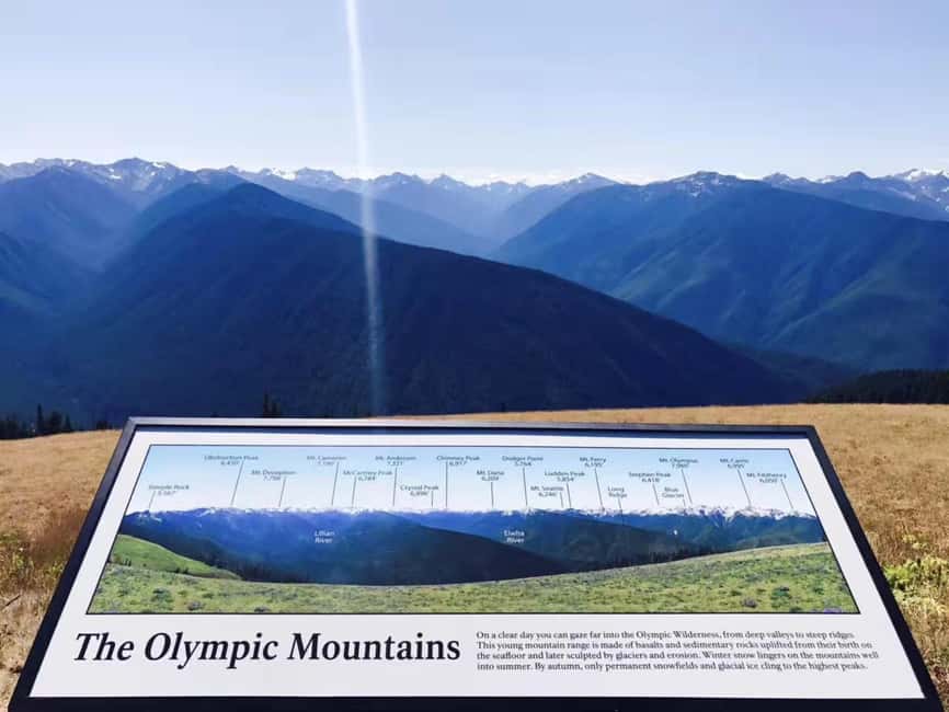 Small Group: Olympic National Park Day Tour From Seattle - Hood Canal Floating Bridge: a pass-by that feels like a side quest