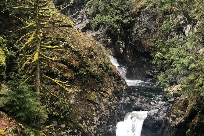 Snoqualmie falls and Twin Falls Hike - What You Learn Beyond the Waterfalls: Plants, Mushrooms, and Local Legends