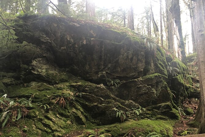 Snoqualmie falls and Twin Falls Hike - Snoqualmie Falls Views: When to Push On (and When Not To)