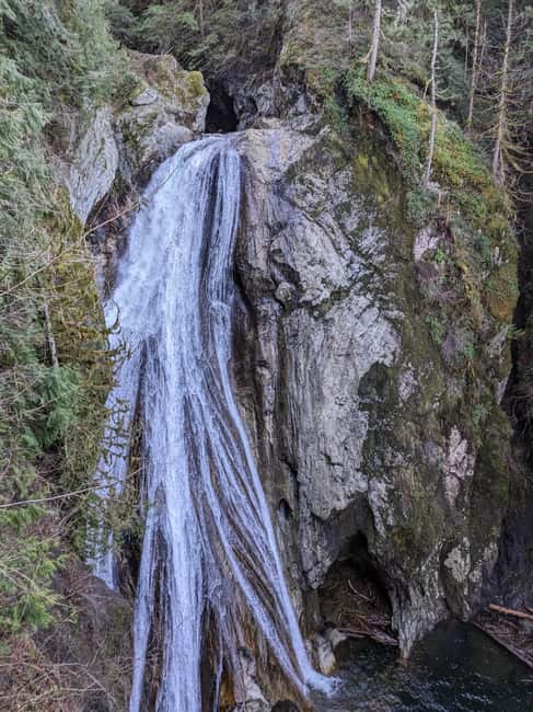 Snoqualmie, Twin Falls & Ancient Forest (Transport Included) - Why This Waterfall Loop Feels Different Than a Typical Trip