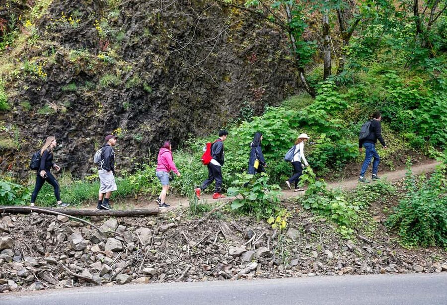 Snoqualmie, Twin Falls & Ancient Forest (Transport Included) - Why Guide Jonny Makes This Tour Land