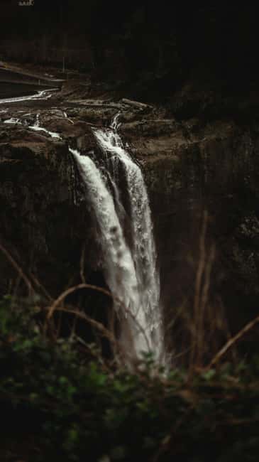 Snoqualmie, Twin Falls & Ancient Forest (Transport Included) - Twin Falls and Ollalie State Park, The Forest Gets Real