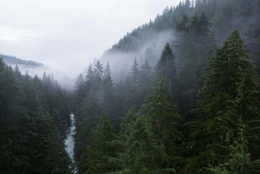 Snoqualmie, Twin Falls & Ancient Forest (Transport Included) - How Much Value You Get for $66
