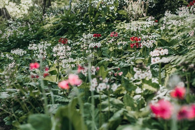 The Bloedel Reserve & Sightseeing - Inside the Bloedel Reserve: guided time in a 150-acre botanical forest garden