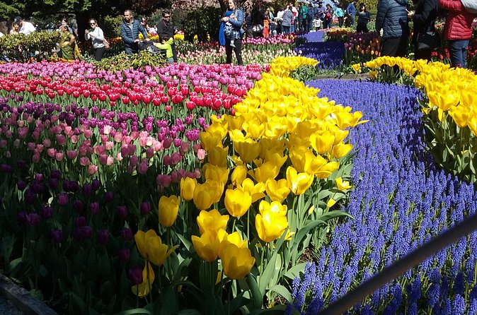 Tulip Festival and Skagit Valley Tour - La Conner lunch: where the day slows down and the photos can rest