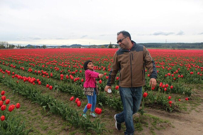 Tulip Festival at Skagit Valley ,La Conner and Deception Pass - Price and logistics: what $295 buys you