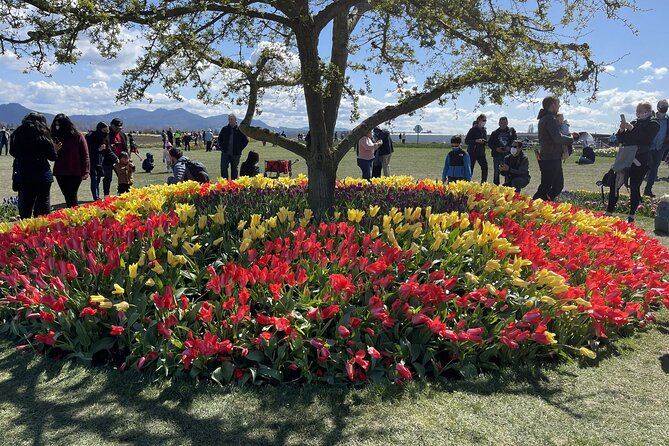 Tulip Festival in Skagit Valley Tour from Seattle - Getting from Seattle to Skagit Valley without the headache