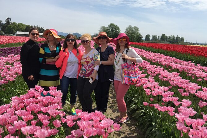 Tulip Festival in Skagit Valley Tour from Seattle - Roozengaarde Farm and the Skagit Valley Tulip Festival stop