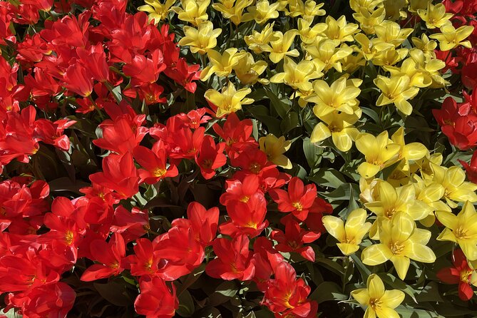 Tulip Festival in Skagit Valley Tour from Seattle - La Conner: two hours of free time for a real meal and a slower pace