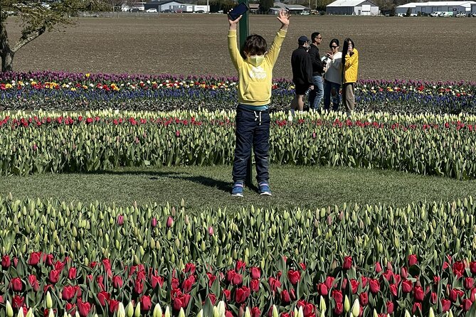 Tulip Festival in Skagit Valley Tour from Seattle - Snow geese timing near Fir Island Farms and the Skagit River Delta