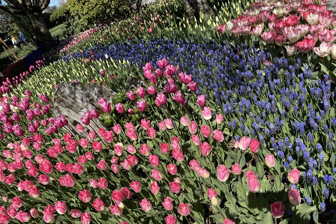 Tulip Festival in Skagit Valley Tour from Seattle - Price and value: what $145 buys you, and what it does not