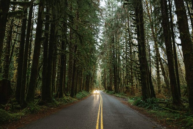 Twilight Forks Washington Tour - Guides, Small Groups, and the Twilight-to-Nature Balance