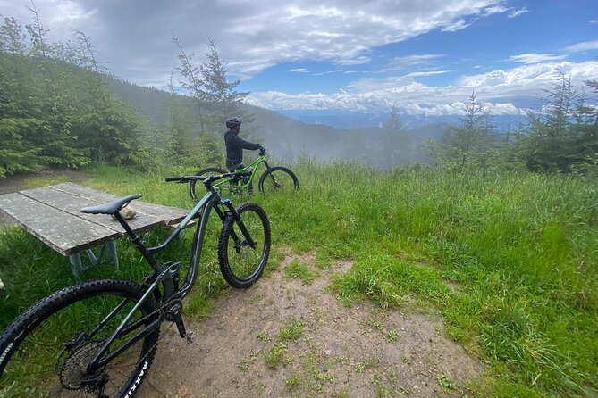 Viator Exclusive - Half Day Mountain Bike Tour from Seattle - Trail choice is the whole point: Duthie Hill vs Tiger Mountain or Raging River
