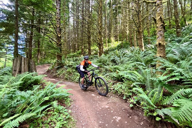 Viator Exclusive - Half Day Mountain Bike Tour from Seattle - How the guide makes it feel personal, like a small coaching session