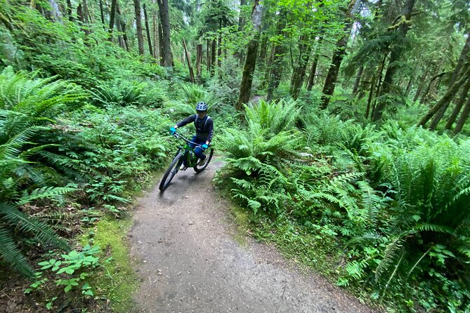 Viator Exclusive - Half Day Mountain Bike Tour from Seattle - Snacks, water, and what to plan for food