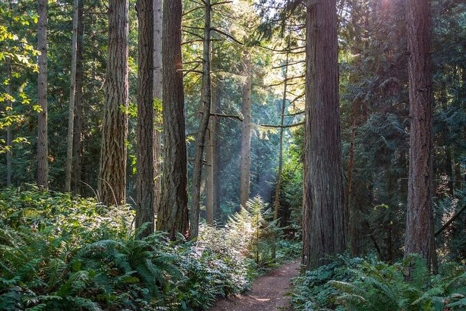 Visit Snoqualmie and Hike to Twin Falls (Transportation included) - What to wear and pack for Cascade waterfalls and rainforest shade