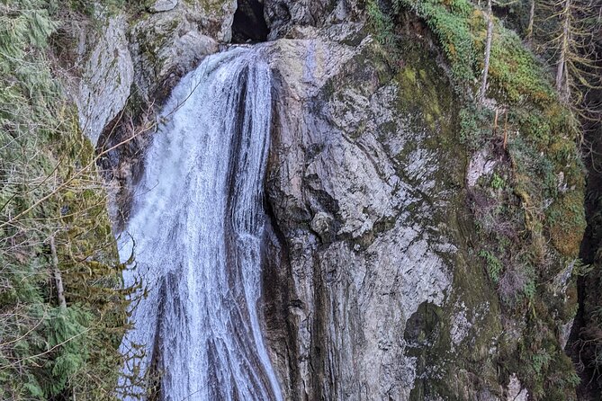 Visit Snoqualmie waterfall and an old forest (Transport Included) - Should You Book the Snoqualmie Falls and Twin Falls Tour?