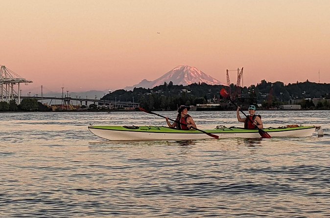 West Seattle Sunset Sea Kayak Tour - Wildlife along the Duwamish River: the bonus you hope for