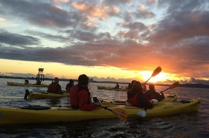 West Seattle Sunset Sea Kayak Tour - Distance and effort: about 3.5 miles, two hours