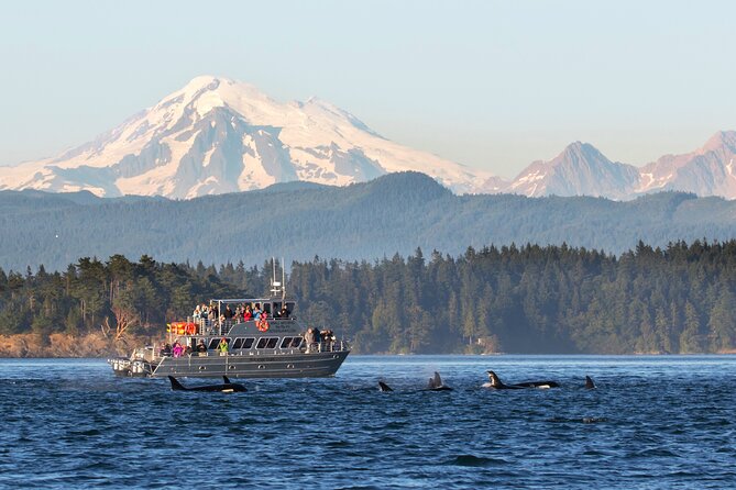 Whale Watching + Deception Pass Tour from Seattle - Key things that make this day work