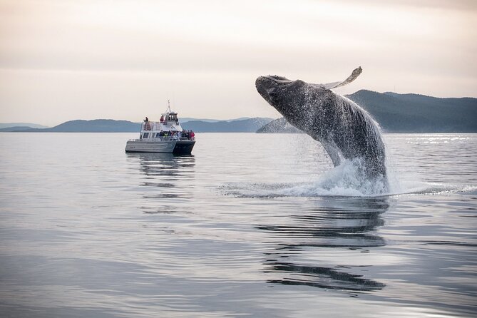 Whale Watching + Deception Pass Tour from Seattle - Getting from Deception Pass to Anacortes without losing the day