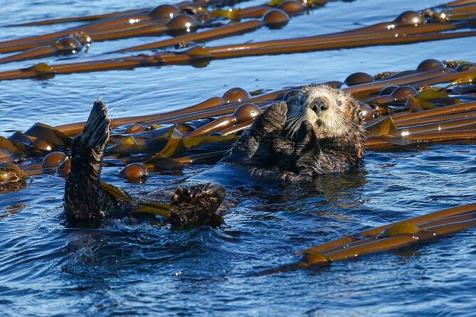 Whale Watching + Deception Pass Tour from Seattle - Food and drink: why it matters on a 10.5-hour day