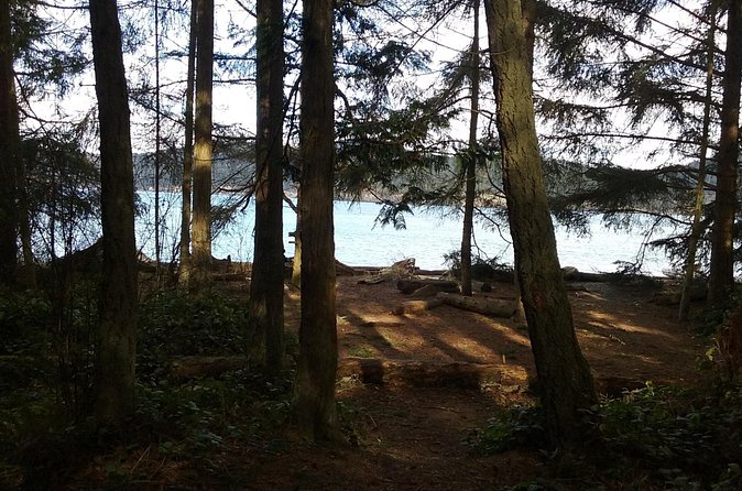 Whidbey Island Deception Pass Private SUV Tour - Deception Pass State Park: bridge views, beach time, and tide talk