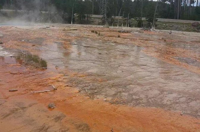 Yellowstone Grand Teton and Coeur d’Alene 5-Day Tour from Seattle - Price and logistics: where the value is, and where you need to watch details